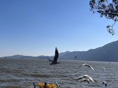 -滇池海埂公园