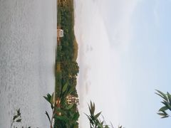 -美的鹭湖森林度假区