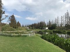 -前小桔亲子创意农场·草莓采摘·露营烧烤