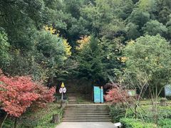 -上海佘山国家森林公园天马山园