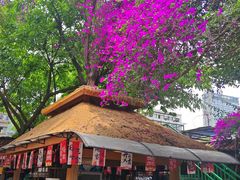 -川白楼·老成都院坝川菜鱼鲜馆(马鞍路店)