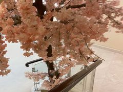 -汤里来温泉