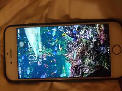 -Apple Store苹果手机电脑售后维修中心(浦东店)