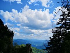 -王顺山国家森林公园