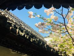 -常熟方塔园