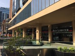 -RED LOBSTER(多伦多DT店)
