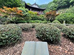 -十八棵（老龙井）御茶园(老龙井店)