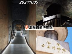 -洛阳古墓博物馆