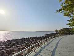 -吴淞炮台湾湿地森林公园烧烤区