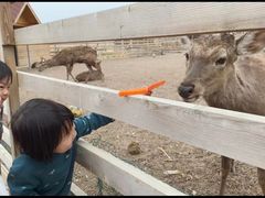 -安德鲁户外烧烤帐篷营地(马泉营店)