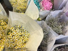 -循礼门鲜花花市(武汉循礼门店)