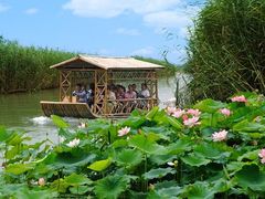 -泗洪洪泽湖湿地景区