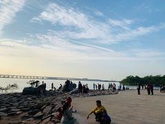 -宝安西湾红树林湿地公园