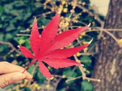 -皮市街大油火烧