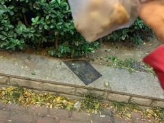 -吉祥馄饨(牡丹园店)