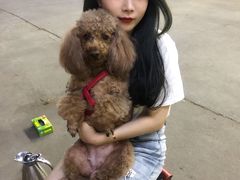 -尹掌柜曹州涮羊肉(西市场店)