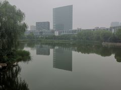 -大兴滨河森林公园