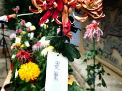 -国家植物园