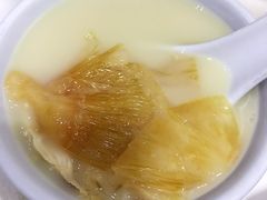 鸡煲中勾翅-凤城礼记鱼翅海鲜酒家(新马路总店)