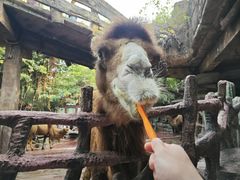 -长鹿旅游休博园