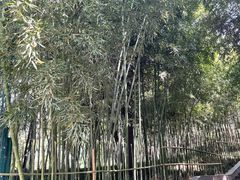 -西安市长乐公园