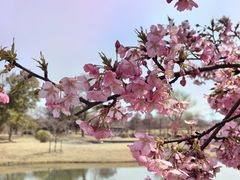 -上海辰山植物园