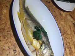 大黄鱼-陈鹏鹏潮汕菜(欢乐海岸 海边景观店)