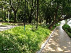 -南国桃园旅游度假区