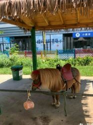 -萌宠亲子动物乐园(槐房万达店)