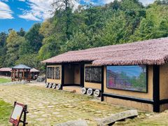 -千年银杏谷文化旅游区