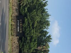 爱来魔相4D艺术馆（济州中文馆）-爱来魔相4D艺术馆(济州中文馆)