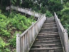 -帽儿山国家森林公园