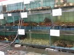 android_upload_pic-海岛渔村大酒店(云霄路店)