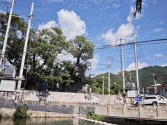 -马武寨驴打滚宴135号(春娥农家乐)