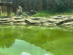-杭州野生动物世界