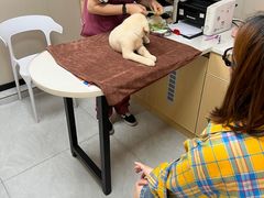 -瑞鹏宠物医院·猫科·宠保定点(梅溪湖分院)