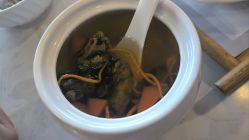 -海豚湾高端月子会所(黄浦店)