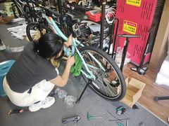 -道路口单车爱瓦士dahon大行