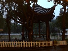 -巴山一绝烤全羊(三圣乡刘家花园店)