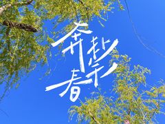 -绿堤公园