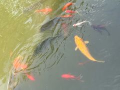 -浮庄