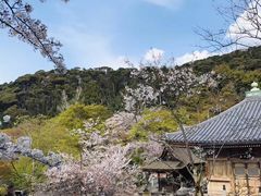 -有栖山 清光院 清水寺
