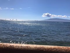 -阿甘虾餐厅(Maui)