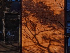 -东钱湖旅游度假区