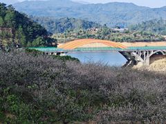 -广州市流溪河国家森林公园