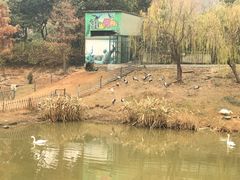 -无锡动物园·太湖欢乐园