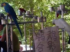 -长春农博园