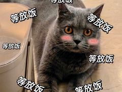 -瑞鹏宠物医院·眼科·皮肤·中兽医(大悦城分院)