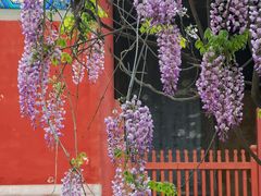 -北京国子监胡同