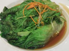 浇汁生菜-普天和酒楼·新津菜·烤鸭(天津之眼店)